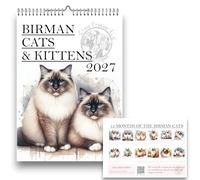 A3 Birman Cats & Kittens 2027 Wall Calendar, 12 Monthly Pages, Metal Binding, Handmade, Cat Calendars, Gifts for cat owners, 420 x 297mm, Illustrated Print, Year 2027 Wall Calendars