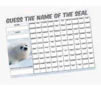 A3 can you guess the name of the Seal Fundraising Scratchcard Match and Win card
