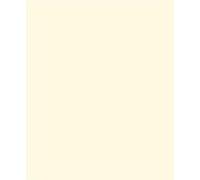 A3 Cream Ivory Paper 80 GSM - Rey Adagio | Smooth Lightweight Printer & Craft Paper for Home & Office-Pack of 250