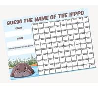 A3 Guess The Name of the Hippo Fundraising Scratchcard Match and Win card