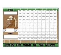A3 Guess The Name of the Horse Fundraising Scratchcard Match and Win card