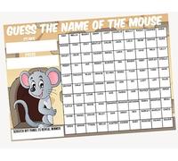 A3 Guess The Name of the Mouse Fundraising Scratchcard Match and Win card