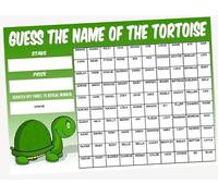 A3 Guess The Name of the Tortoise/Turtle Fundraising Scratchcard Match and Win card