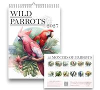 A3 Wild Parrots Calendar 2027,Exotic Birds 2027,Parrot Calendar,Wall Calendar,Handmade,2027 Year,Metal Hook and Binding,UK & US Holidays,12 Months