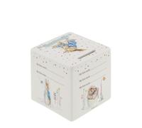 A32191 My 1st Money Box Peter Rabbit - P87149