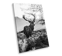 A372 Sunrise Deer Black White Animal Portrait Canvas Picture Print Wall Art