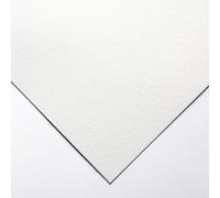 A4 300gsm Blotting Paper Sheets for Arts & Crafts - Premium Absorbent Paper for Ink Removal, Painting, Stamping, and Flower Pressing (Pack of 10)
