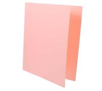 A4 4 Hole Pp Metal Loose Leaf Folder for Documents Pink