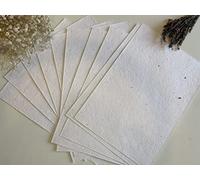 A4 & A5 Plantable Seed Paper/Card - Eco Friendly Print at Home Craft Paper with Wildflower Seed Mix (A4 x 25 Seeded Paper)
