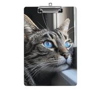 A4 Acrylic Clipboard - Durable & Portable Clip Board with Metal Hanger for Wall, Holds Up to 100 Sheets, Lying on The Windowsill Clipboard for Teacher, Office, Nurse