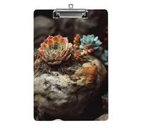 A4 Acrylic Clipboard - Durable & Portable Clip Board with Metal Hanger for Wall, Holds Up to 100 Sheets, Succulents in Rocks Clipboard for Teacher, Office, Nurse