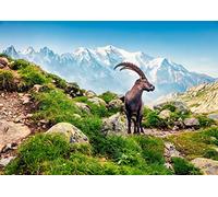 A4| Alphine Ibex Poster Print Size A4 Mountain Goat Animal Poster #16280