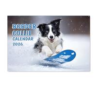 A4 Border Collie Calendar 2026 UK 12 Monthly Wall Calendar 2025 A3 When Open Collie Dog Calendar 2025 Papa Prints