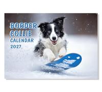 A4 Border Collie Calendar 2027 12 Monthly Wall Calendar A3 When Open | Border Collie Calendar 2027 Family Calendar 2027 Wall Calendar 2027 Collie Dog Calendar 2027 Calendar 2027
