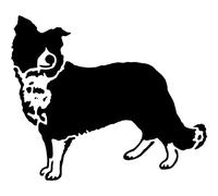 A4 'Border Collie Sheepdog' Wall Stencil/Template (WS00025555)