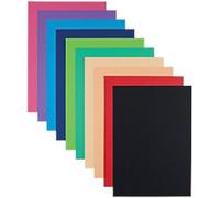 A4 Cardboard Assorted 240 gsm Smooth Pack of 100