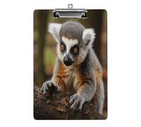 A4 Clipboard,Monkey Lemur Cuteprinted Acrylic Plastic Clip Boards with Hanging Hole 8.5" X 12.5" for Home, Office, Business