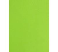 A4 Coloured Card 160gsm Arts Craft Sheets Bright Pastel Neon Colours Suitable for Laser Inkjet & Copier Printers 100 Sheets (Bright Green)