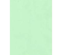 A4 Coloured Card 160gsm Arts Craft Sheets Bright Pastel Neon Colours Suitable for Laser Inkjet & Copier Printers 100 Sheets (Pastel Green)