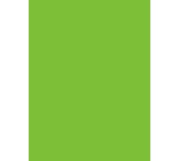 A4 Coloured Paper 80gsm Arts Craft Sheets Bright Pastel Neon Colours Suitable for Laser Inkjet & Copier Printers 40 Sheets (Bright Green)