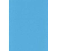 A4 Coloured Paper 80gsm Arts Craft Sheets Bright Pastel Neon Colours Suitable for Laser Inkjet & Copier Printers 75 Sheets (Bright Blue)
