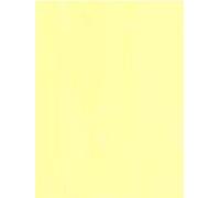 A4 Coloured Paper 80gsm Arts Craft Sheets Bright Pastel Neon Colours Suitable for Laser Inkjet & Copier Printers 100 Sheets (Pastel Yellow)