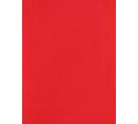 A4 Coloured Paper 80gsm Arts Craft Sheets Bright Pastel Neon Colours Suitable for Laser Inkjet & Copier Printers 100 Sheets (Bright Red)