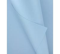 A4 Coloured Paper 80gsm Arts Craft Sheets Bright Pastel Neon Colours Suitable for Laser Inkjet & Copier Printers 25 Sheets (Pearl Light Blue)