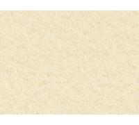 A4 Cream Craft Creations Mottled Parchment Effect Card - 200gsm 300mic Rough Textured Card Stock - Parch Marque (50)