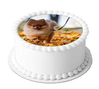 A4 Edible Decor Icing Sheet PERSONALISED Cute Pomeranian Dog Puppy 7-8" Circle Cake Topper Decoration - Great for larger cakes