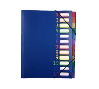 A4 Expanding Project Sorter 12 Pockets Accordion File Folder Heavy Duty Plastic Rainbow Expandable Folder Organizer A4 Letter Size Bills Document Wallet Paper Filing Folders for Office School Home