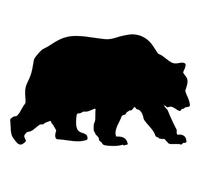 A4 'Grizzly Bear' Wall Stencil/Template (WS00042933)