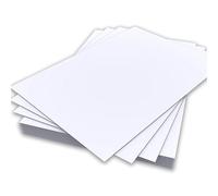A4 Light Grey Colour Card 160gsm Sheets Double Sided Craft Making Printer Copier Art Crafts Flyers Posters School Office Printing 210mm x 297mm (A4 Light Grey Card - 160gsm - 25 Sheets)