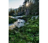 A4 Lined Notebook Journal - Mountain Forest Stream Cover, 100 Pages Cream Paper, Soft Cover Writing Notebook for School, Work, Note Taking, Journaling and Daily Use