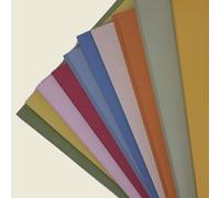 A4 Mixed Recycled Card Pack 20 Sheets 10 Colours