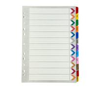 A4 Monthly Index Dividers 12 Parts Jan - Dec Coloured Month Tabs Card Divider for Ring Binder Filing Organiser for Home Office School 1 Pack