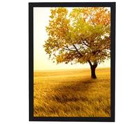 A4 Photo Frames,Frame Wooden, A4 Picture Frames with Stand Tabletop or Wall Hanging,Versatile A4 Black Picture Frame 21 x 29.7cm, Landscape or Portrait Orientation, Wall-Mount & Desk Stand(Black)