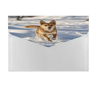 A4 Plastic Envelopes with Snap Closure Dog Chasing in The Snow Plastic Folders for Document Letter Size Poly Folders Reusable File Bags for Office Home Work Supplies