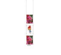 A4 Portrait Wire Cable Display Acrylic Poster Holder Retail Shop Window Signs Display Panels (3 Pocket)
