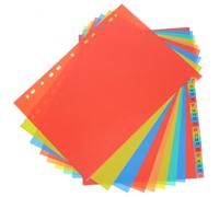 A4 PP Colored Index Dividers for Binder Reports and Notebooks | Monthly Planning Support, Versatile for Common Document Sizes, Teachers and Students, Office Project Management