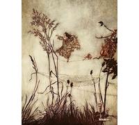 A4 Print Rackham Arthur 1867 1939 Peter Pan in Kensington Gardens 1912 fairies are exquisite dancers