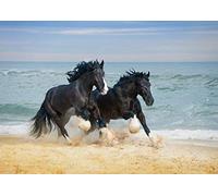 A4| Shire Horses Poster Size A4 Beautiful Animal Ocean Poster #12681