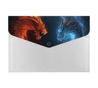 A4 Size Expanding File Folder with 6 Pockets, Waterproof PP Material, Fire and Ice Dragons Accordion File Folder Portable Document Organizer for Office Travel