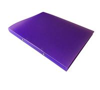 A4 Slim Purple Translucent Ringbinder by Janrax