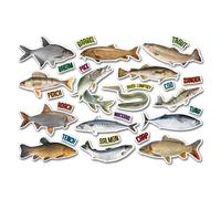 A4 Sticker Sheet Fishing Vinyl Stickers - UK British Fish Dad Fisherman Hobby Men Pike Carp Sea Ocean Addicted Love Scrapbook Travel Gift #82528