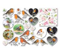 A4 Sticker Sheet Robin Vinyl Stickers - Red Garden Birds Animal Men Women Kids Hobbies Hobby Travel Scrapbooking Journal Decor Gift #82173