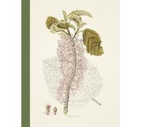 A4 Vintage Botanical Illustration Notebook College Ruled: 8.5" x 11", 100 pages, Beautiful Floral Aesthetic, great gift idea for school and office