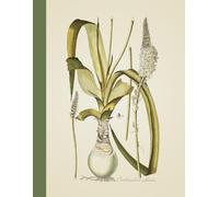 A4 Vintage Botanical Illustration Notebook College Ruled: 8.5" x 11", 100 pages, Beautiful Floral Aesthetic, great gift idea for school and office
