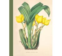 A4 Vintage Botanical Illustration Notebook College Ruled: 8.5" x 11", 100 pages, Beautiful Floral Aesthetic, great gift idea for school and office