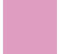 A4 Wild Rose 160gsm Clairefontaine Quality Printer Copier Hobby Card (100)
